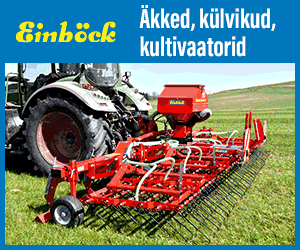 A.Tammel Einböck brändi lehe