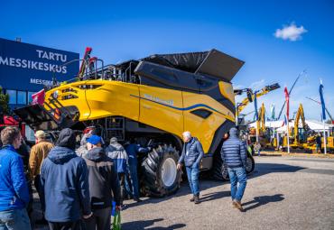 Tartus algas Maamess