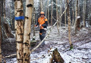 Stihl valmistas uue elektrilise juhtmevaba oksasae