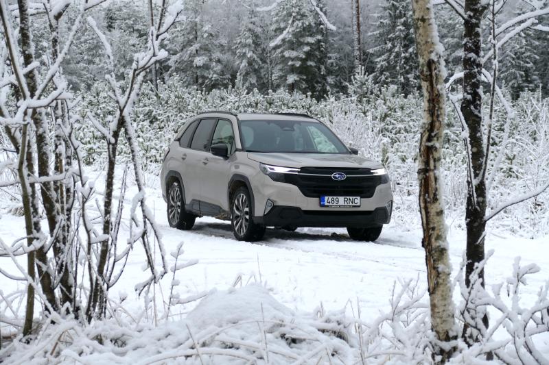 Uus Subaru Forester: rahuliku elu auto