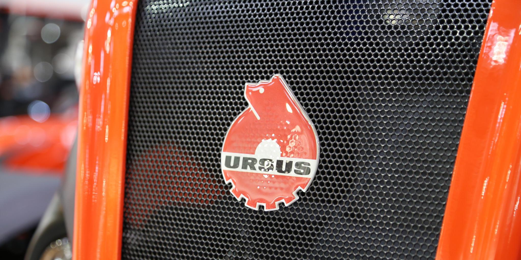 Ursus paneb pillid kotti