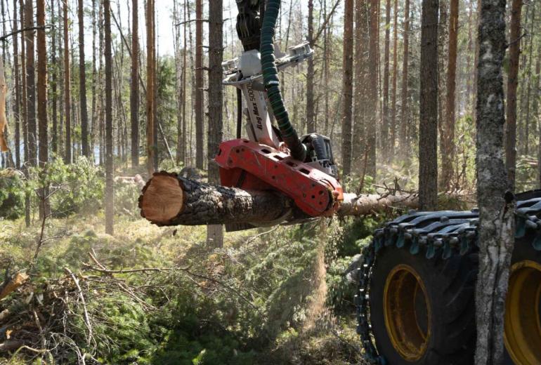 Log Max valmistas uue lõikepea