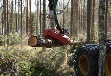 Log Max valmistas uue lõikepea