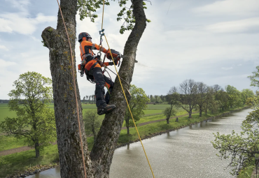 Husqvarna esitleb uut arboristidele mõeldud saagi