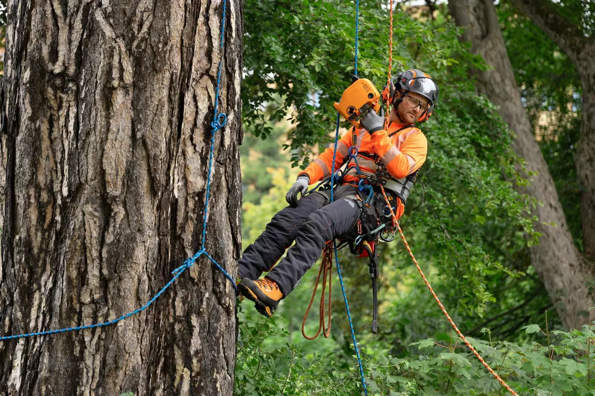 Husqvarna valmistas puudel ronijatele akutõstuki