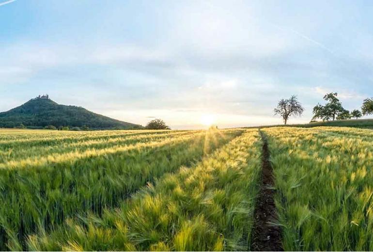 Agricon laieneb Slovakkiasse ja Tšehhi