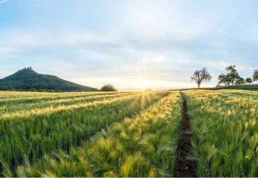 Agricon laieneb Slovakkiasse ja Tšehhi