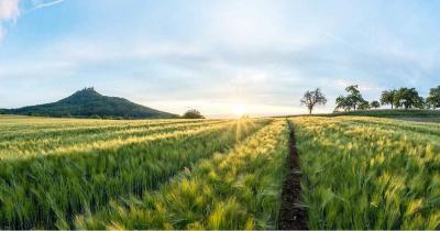 Agricon laieneb Slovakkiasse ja Tšehhi