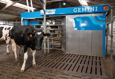 BouMatic uuenduslikud lüpsirobotid aitavad piimafarmidel oma positsiooni turul tugevdada