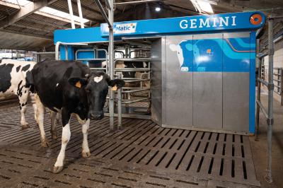 BouMatic uuenduslikud lüpsirobotid aitavad piimafarmidel oma positsiooni turul tugevdada