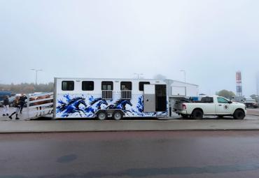 Kasvõi kaheksa hobust korraga!