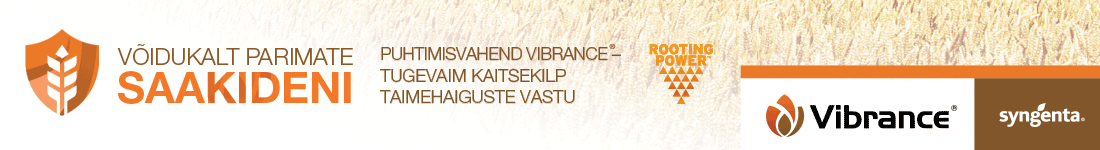 Syngenta autumn