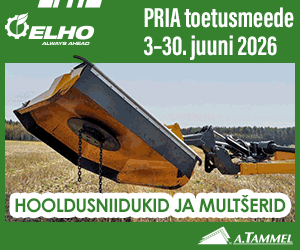 A.Tammel kevad 2026