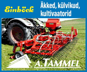 A. Tammel sügis 2025